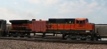 BNSF 1019